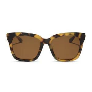 BELLA - BROWN KOMBU   BROWN   POLARIZED SUNGLASSES